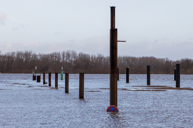 Hochwasser an der Elbe 2023